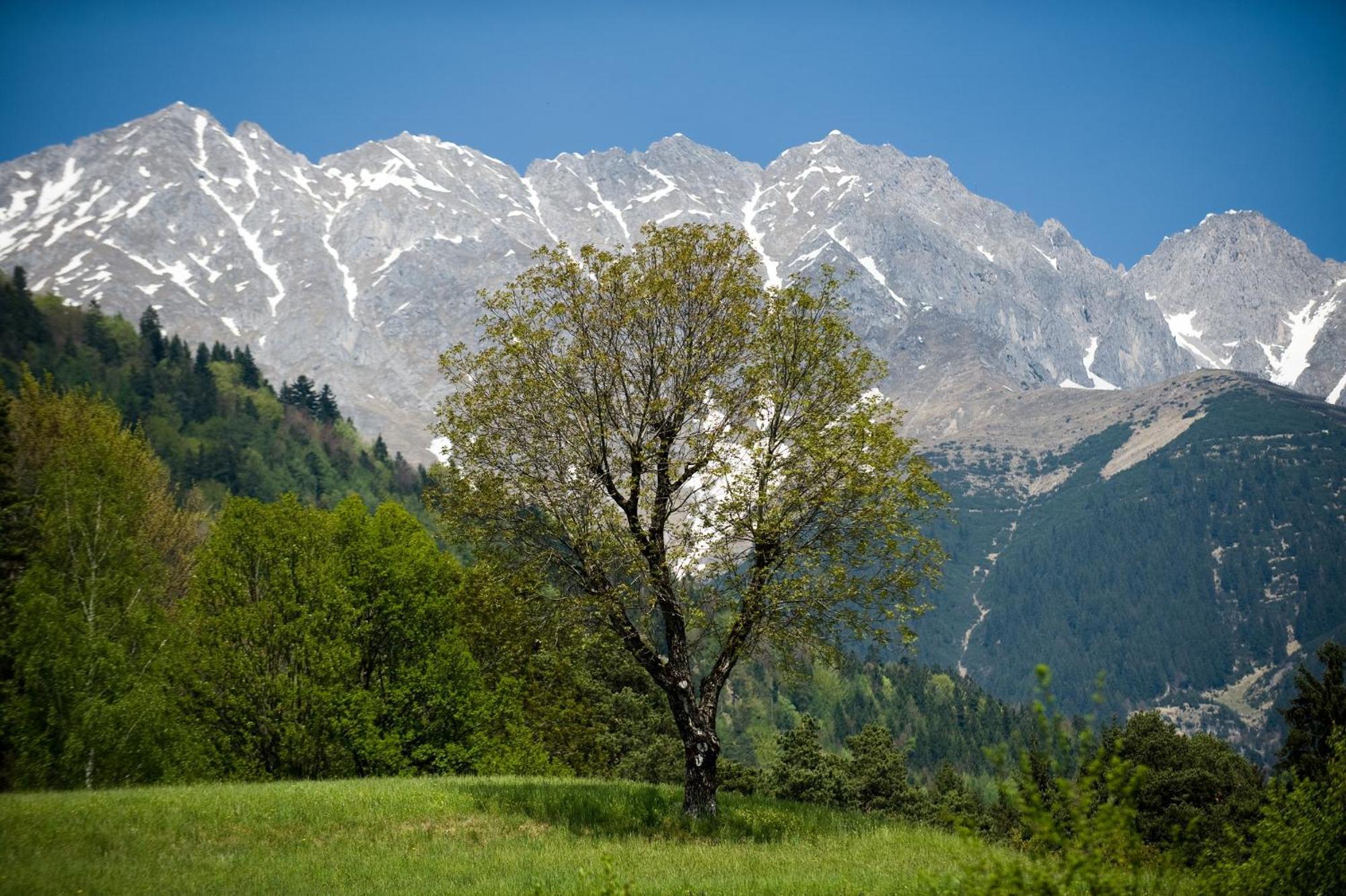 Kasperhof Apartments Innsbruck Top 6 - 7 מראה חיצוני תמונה